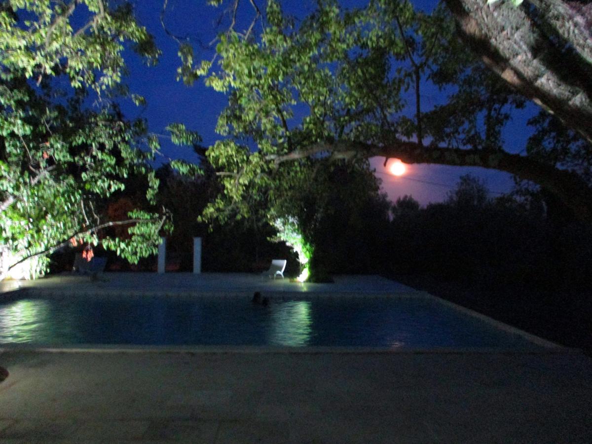 Apartment Des Lilas *